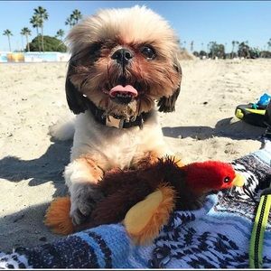 BUNDLE FOR @Belindaxo ✨